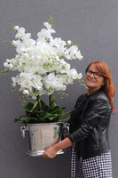 Cooler Fresco Italia, ekskluzywny sztuczny storczyk