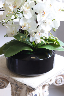 Gaina Black 2, wysokiej jakości sztuczny storczyk, wys.57cm 