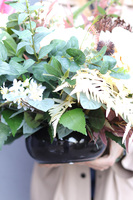 Lediera Idealia, pastelowa kompozycja nagrobna w misie