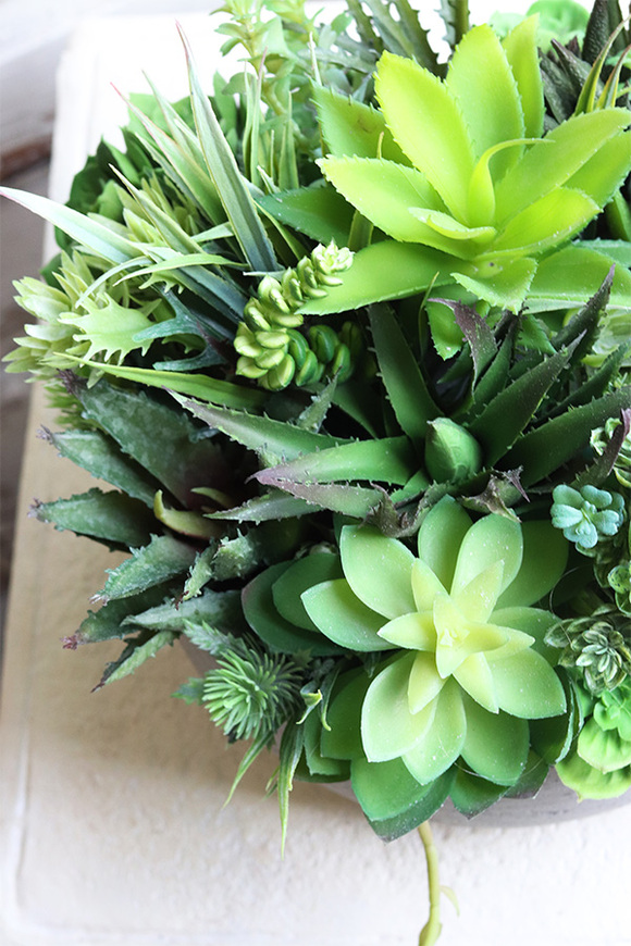 Hefra, kompozycja sukulenty w donicy klienta, wym.20x35cm 