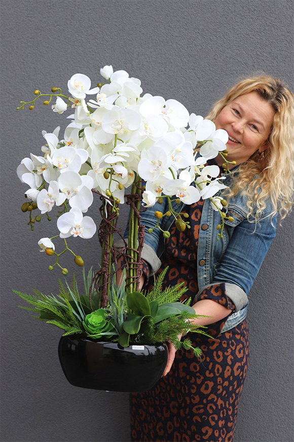 Beddinato Black, storczyk z sukulentami w czarnej donicy, wys.80cm