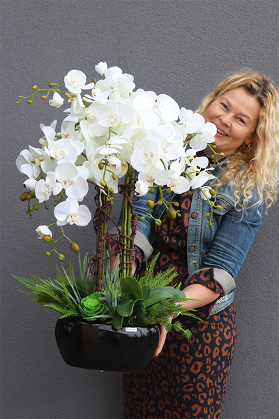 Beddinato Black, storczyk z sukulentami w czarnej donicy, wys.80cm