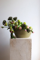 Apple Green, kwiatowa w naczyniu z owocami