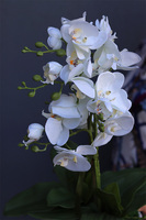 Bedroom White, sztuczny storczyk w pikowanej donicy