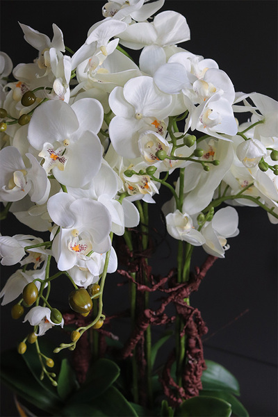 Laos Silver Big efektowny sztuczny storczyk