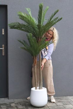 Palma Fiberglass, wysokiej jakości sztuczna palma w donicy, wys.189cm