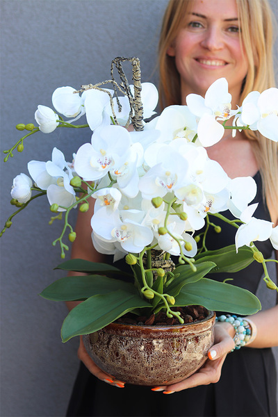 Ceramic House 3, sztuczny storczyk w ozdobnej misie