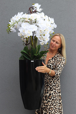 Black&White Fiberglass Grande, duży storczyk w czarnej donicy, wys.125cm