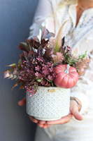 Toledo, kompozycja w jesiennym klimacie z dynią, wym.28x24cm