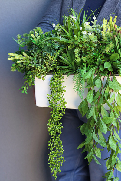 Anya Green Lento Sukulenty, zielona kompozycja w donicy