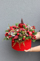 Gwiazdka z Leonem 2, flowerbox świąteczny