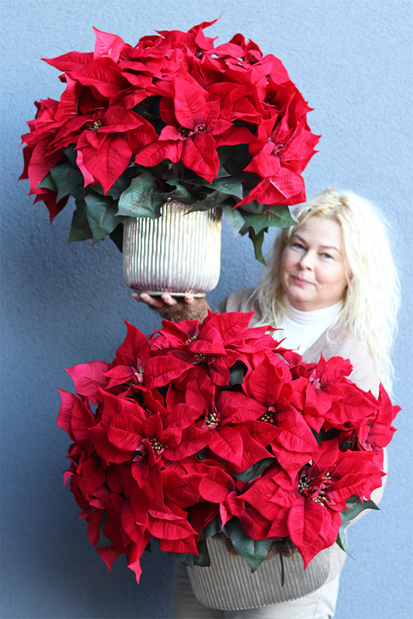 Gwiazda Betlejemska Hilton 2, wysokiej jakości sztuczna roślina