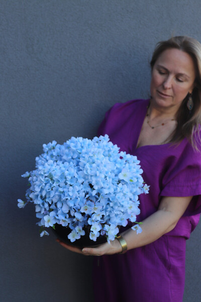 Hydrangea Blue Piano, kompozycja z niebieskich hortensji