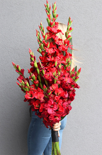 Mieczyki Czerwień, bukiet nagrobny do położenia