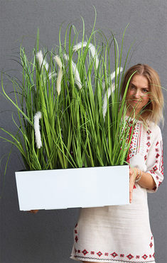 kompozycja traw w białej donicy Greta Devilla z kłosami, wys.88cm