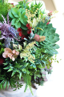 Green Helita Violet, kompozycja sukulenty w miedzianej misie