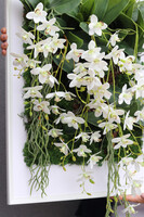 jednostronna rama dekoracyjna, Thai Hotels