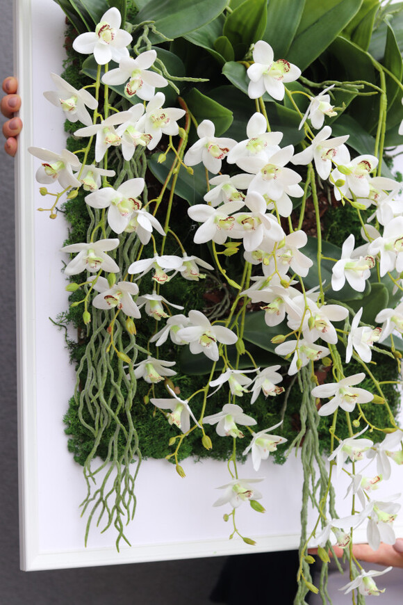 jednostronna rama dekoracyjna, Thai Hotels