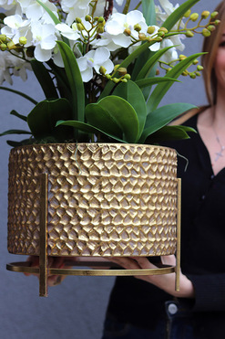 Goldenario Ellie, biały gumowy storczyk w złotej donicy, wys.74cm 