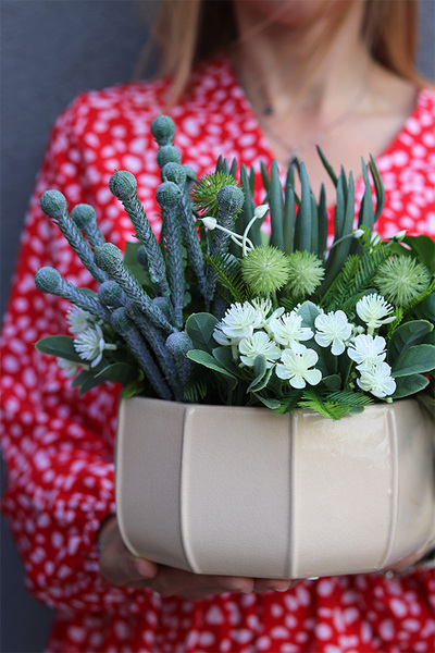 Grenoble, kompozycja sukulenty w okrągłej donicy