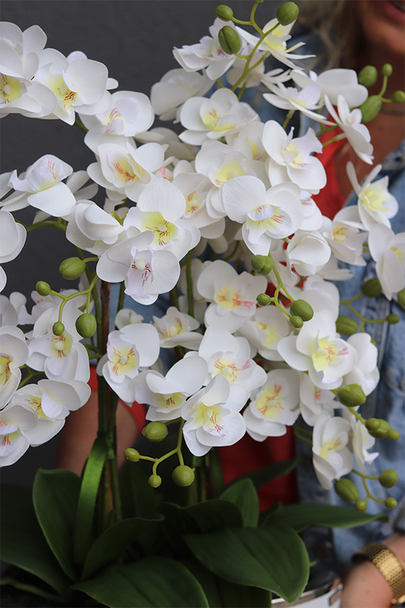 Manfredo Niagara 2, gumowy storczyk w biało-srebrnej donicy