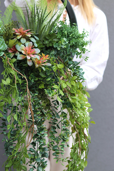 Zieleń Sukulentów C, kompozycja sukulenty w donicy wiszącej