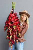 Mieczyki Czerwień, komplet dekoracji nagrobnych