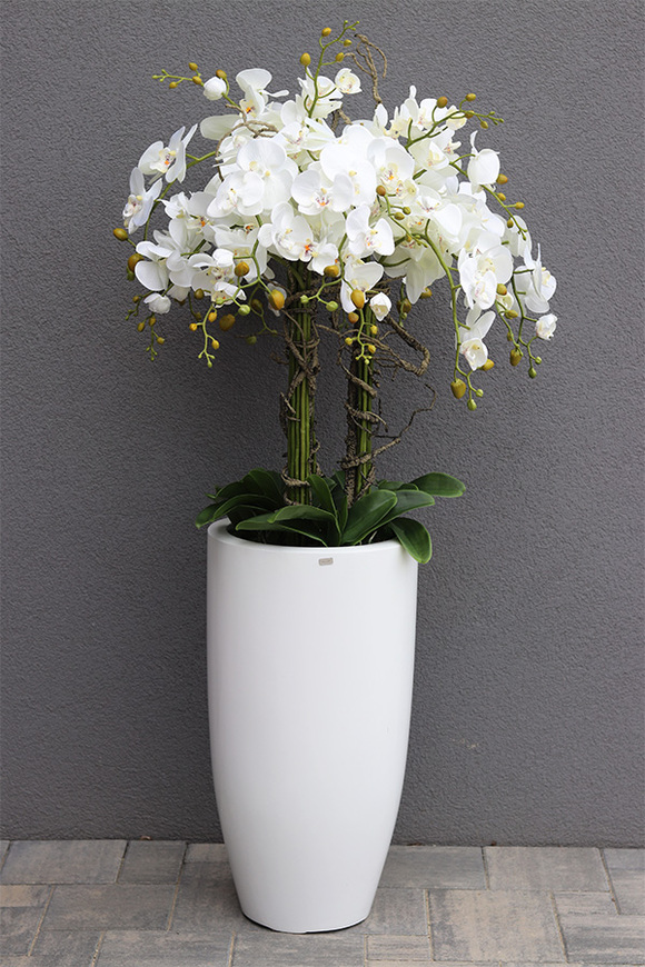 Fiberglass White Lux, efektowny storczyk w białej donicy z fiberglass, wys.118cm