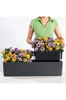 Balconera, doniczka z nawadnianiem Lechuza tendom.pl