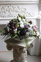 Violet Bellatia, kompozycja kwiatowa