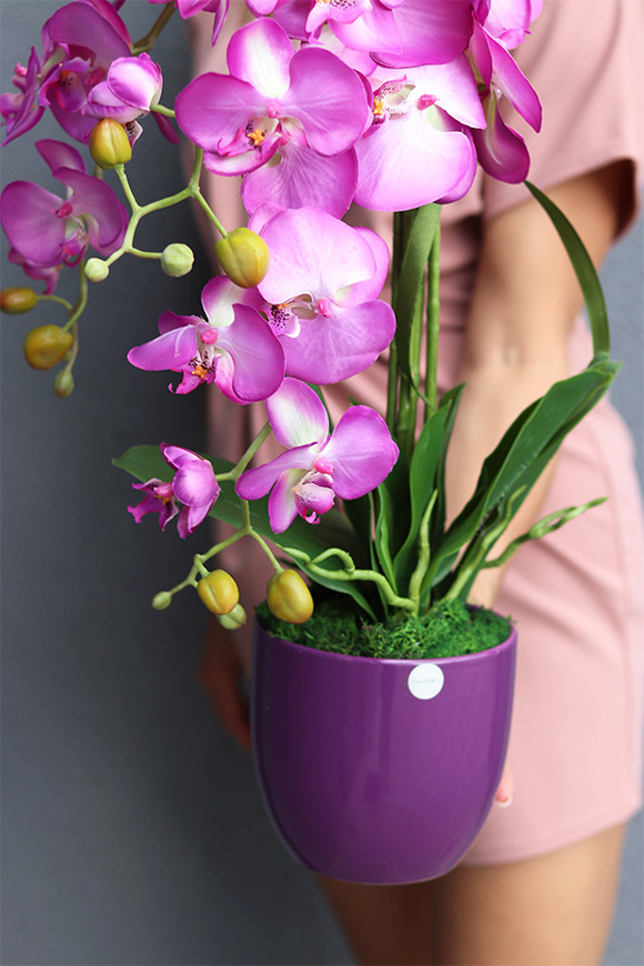 Fuksja Nemia Violet, sztuczny storczyk w fioletowej doniczce