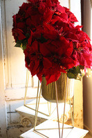 Gwiazda Betlejemska Goldena Większa, wysokiej jakości sztuczna roślina, wym. 96x47cm