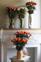 Dusty Pink Roses, kompozycja kwiatowa róże w wazonie