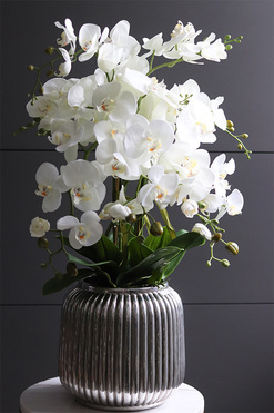 Hillton Silver, wysokiej jakości sztuczny storczyk, wys.77cm 