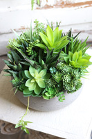 Hefra, kompozycja sukulenty w donicy klienta, wym.20x35cm 