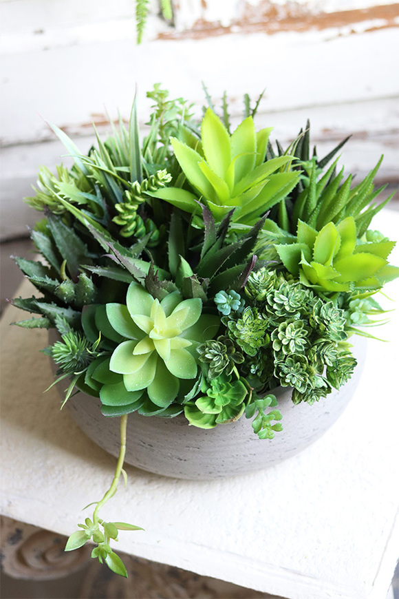 Hefra, kompozycja sukulenty w donicy klienta, wym.20x35cm 