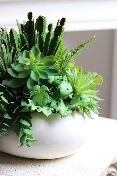 Gessa, kompozycja z sukulentów