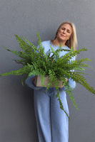 Momu Concrete, paprotka w betonowej donicy