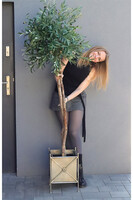 Oliwka Provance 2, sztuczne drzewko w metalowej donicy