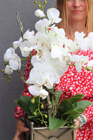 Silver Como, sztuczny storczyk w donicy na stojaku