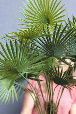 Palma Livistona, sztuczna roślina w doniczce, wys.115cm