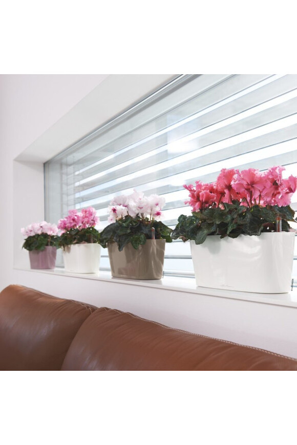 Delta 20, podłużna donica z nawadnianiem, taupe