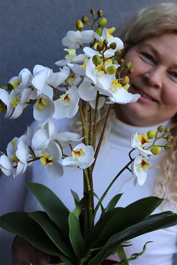 Ceglana Aleja, gumowy storczyk w pomarańczowej donicy