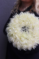 Ossana, kremowy wianek roślinny