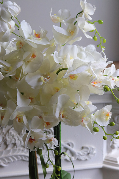 Mediolan Nimea Saute, sztuczny storczyk we wkładzie