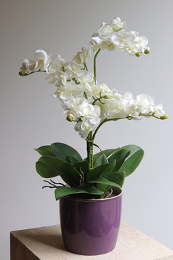 OD RĘKI Purpletti, sztuczny storczyk w fioletowej donicy, wys.54cm