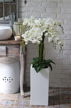 Grande Fiberglass Novelty 2, storczyk w białej donicy z fiberglass (połysk), wys.110cm 