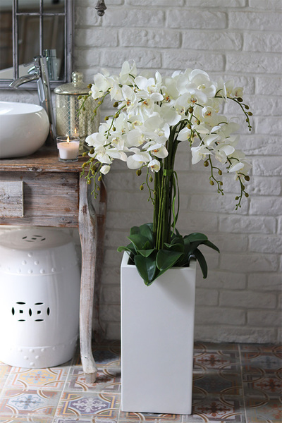 Grande Fiberglass Novelty 2, storczyk w białej donicy z fiberglass