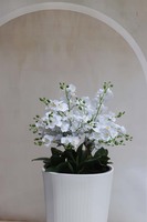 Madrid Stripes, duży storczyk podłogowy w białej donicy