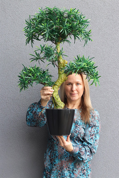 Bonsai 2, sztuczna roślina w doniczce	